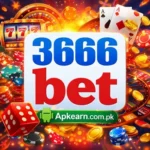 3666bet